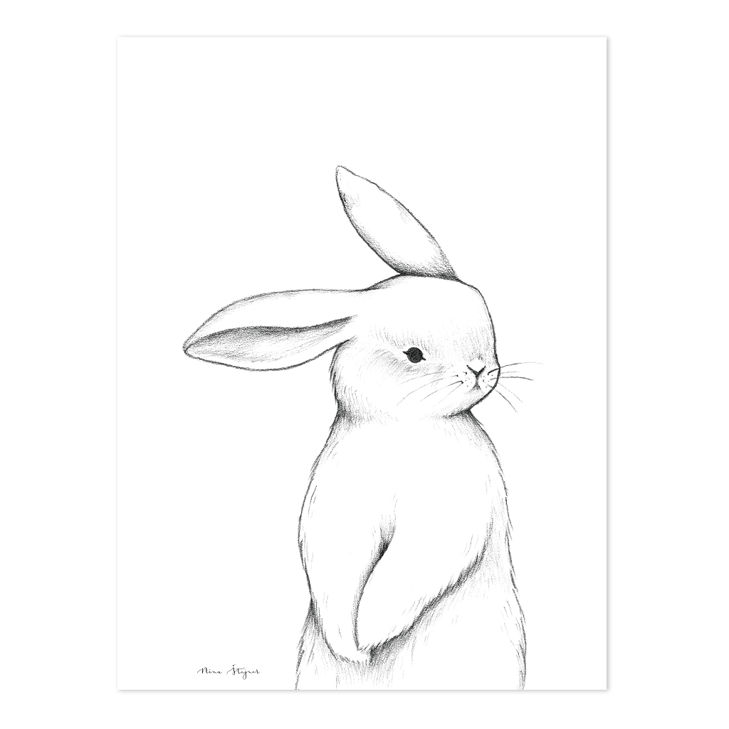 Bunny Front View Poster | Lilipinso